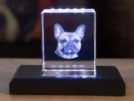 3d-glasfoto hond