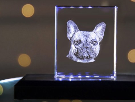 3D-foto in glas hond