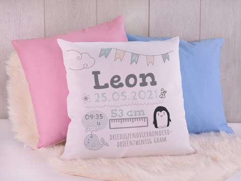 Geboortekussen sortiment